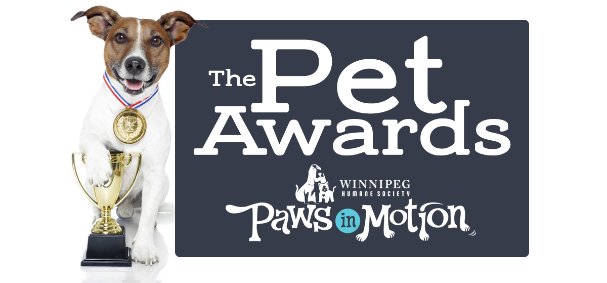 Paws in Motion - Pet Awards